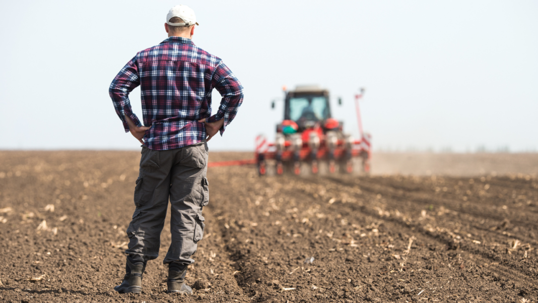 How to Start a Small Farm